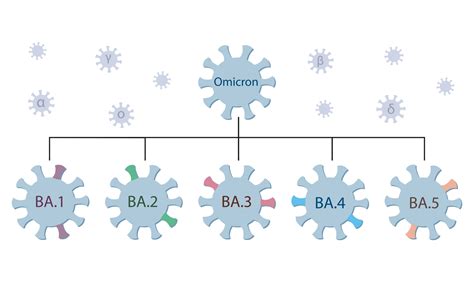 Omicron subvariants BA.1 to BA.5 - What we know about …