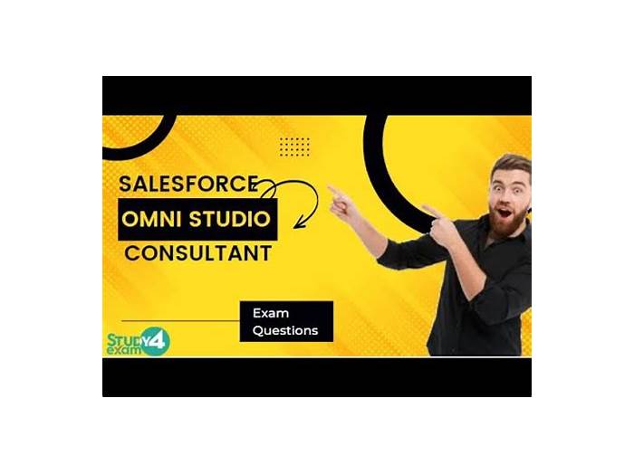 OmniStudio-Consultant Kostenlos Downloden