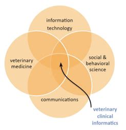 On Demand Education in Veterinary Informatics
