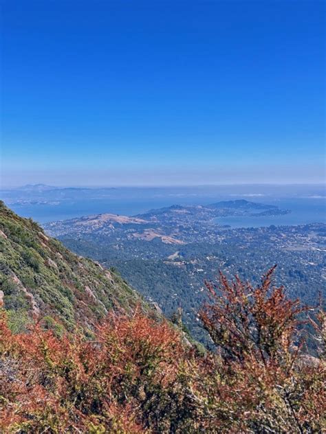 On Marin’s highest peak, Mount Tamalpais, a most accessible trail