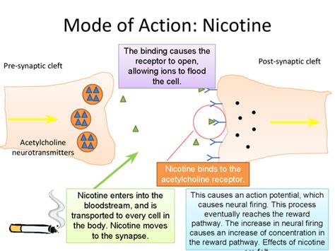 On Nicotine Rewards: Unlocking the Potential for Success