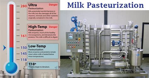 On Pasteurizing Cheese: Why Do It? Kitchn