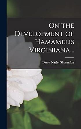On The Development Of Hamamelis Virginiana