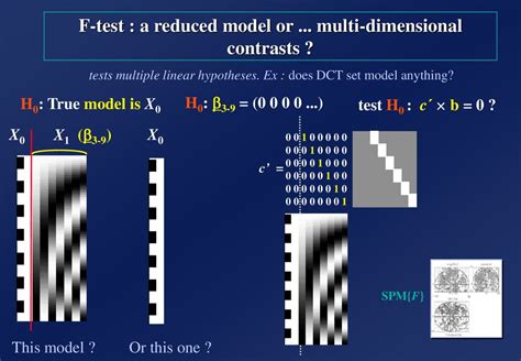 On The Estimation Of Contrasts In Linear Models