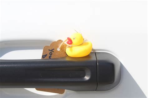 On The Lighter Side: Duck Duck Jeep – A New Phenomenon