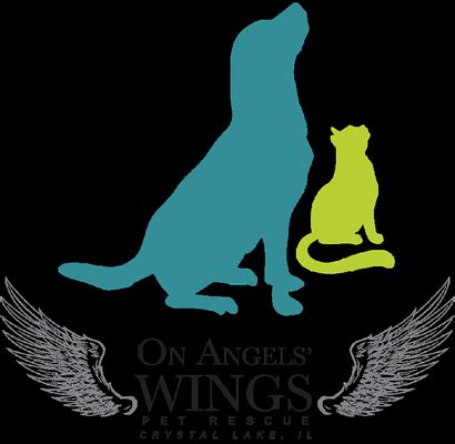 On angels' wings - pet rescue & resale store photos. Things To Know About On angels' wings - pet rescue & resale store photos. 