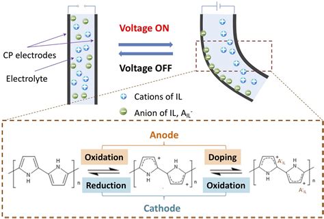 On mechanical and surface properties of electro-active polymer …