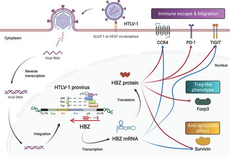 On the role of H3.3 in retroviral - ProQuest