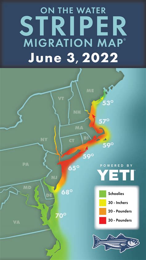 On the water striper migration. Jun 30, 2023 · Striper Migration Map – June 30, 2023. Large bass continue to press north through New Hampshire and Maine where anglers are reporting migratory fish up to 50-pounds. by OTW Staff June 30, 2023. Fueled by sand eels, bunker and squid, trophy-class stripers are still rounding the tip of Long Island and pushing east through the Sound. 
