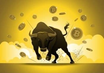 On-Chain Data Points to a Bullish Future