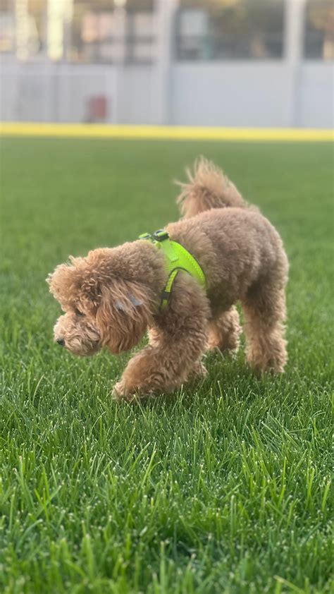 Onbasioglu Halı ve Koltuk Yıkama