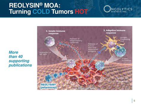 Introduction. Since the approval of talimogene laherparepvec (T-VEC, Imlygic) by the US Food and Drug Administration (FDA) in 2015, oncolytic virus-mediated antitumor immunotherapy has received increasing attention. 1 As a foreign invader, an oncolytic virus can rapidly induce type I interferon (IFN)-mediated immune activation and upregulate …