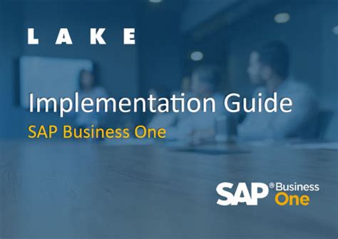 One Business Sap Guide Implementation