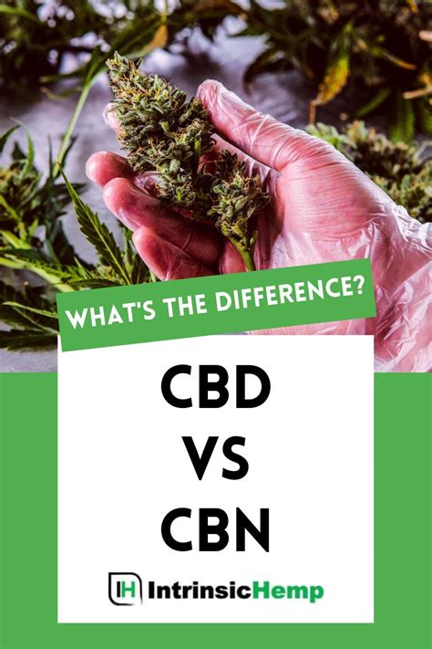 One Of Hemp’s Most Secretive Cannabinoids- What We Know About CBL