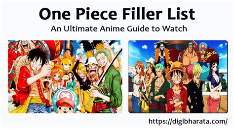 One Piece Filler List / The Ultimate Anime Filler Guide