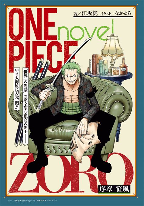 One Piece Novel A One Piece Wiki Fandom