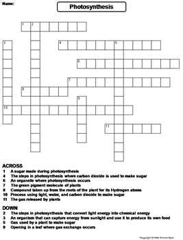 One extracts oxygen from water crossword. Things To Know About One extracts oxygen from water crossword. 