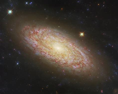 One galaxy two views Webb and Hubble take on same target Digital Trends