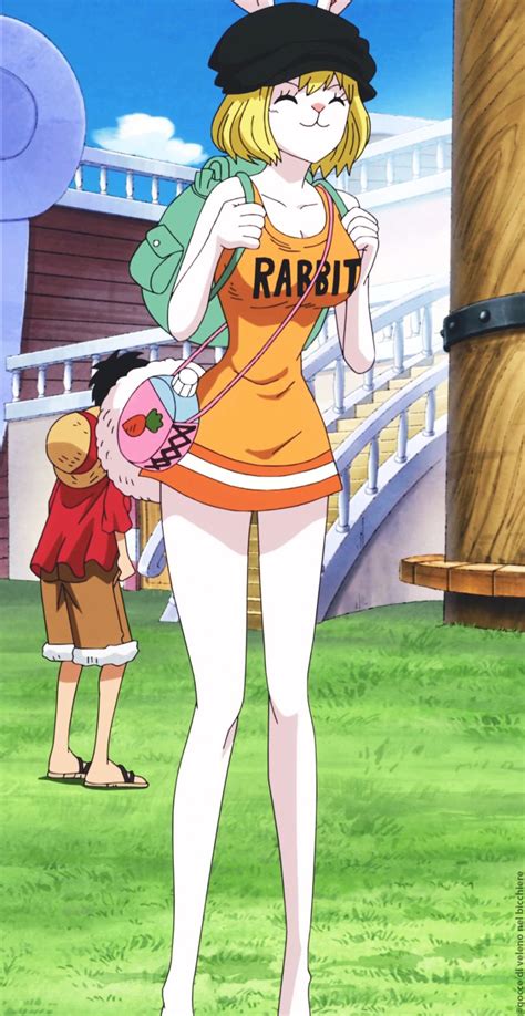 One piece rabbit. Things To Know About One piece rabbit. 