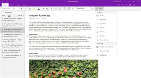 OneNote Help: How to properly sync between devices? : r/OneNote - Reddit