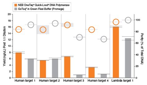 Onetaq maximum length. 5&ndash;5 units/50 &mu;l reaction is recommended.  Enter primer sequ...