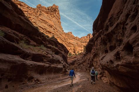 Onion Creek Trail