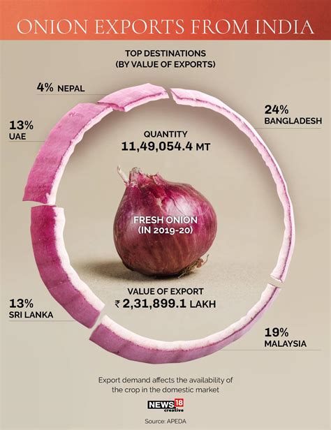 Onion Price Forecast 2019 India