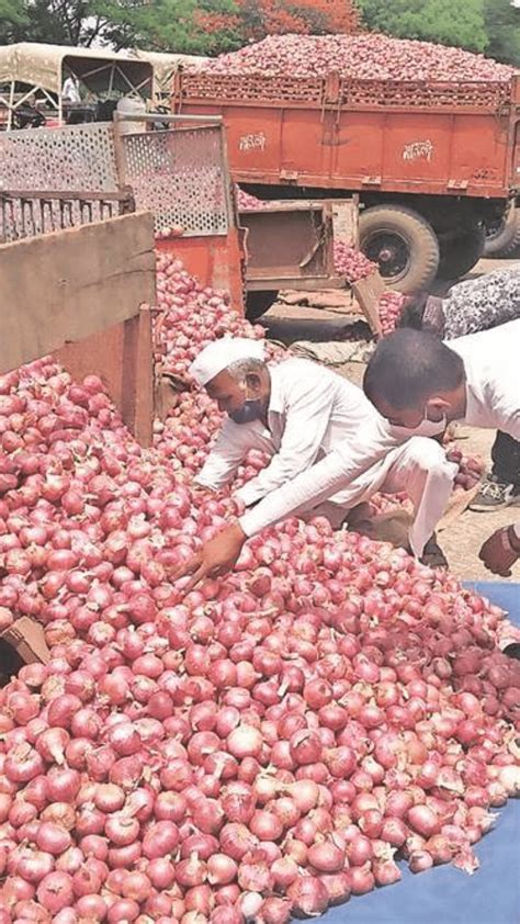 Onion Subsidy सोलापुरातून कांदा अनुदानासाठी २२२ कोटींचा …