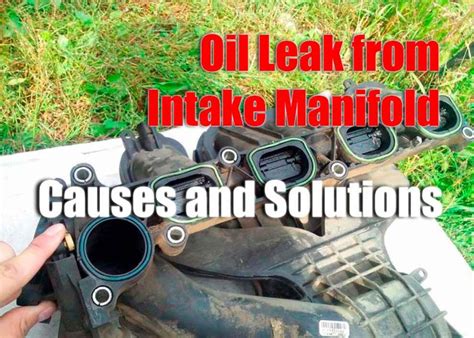 Onlfayns Leak