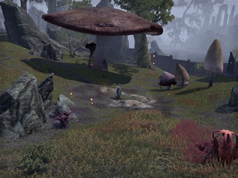 Online:Grove of the Abomination - UESPWiki