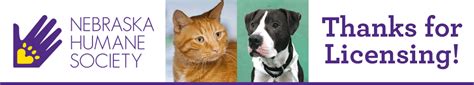 Online Licensing Tips - Nebraska Humane Society