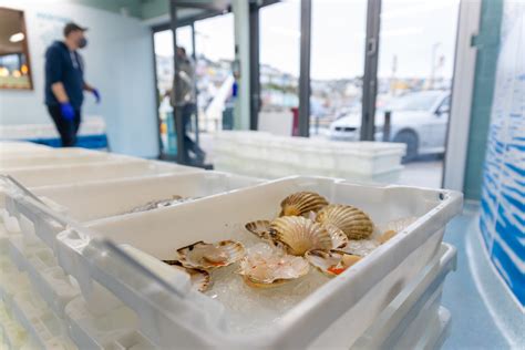 Online Seafood Market - Fishmonger delivering fresh fish ... - Rockfish