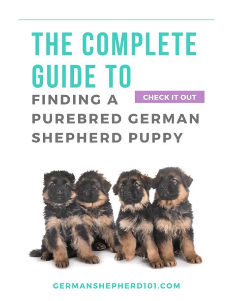 Online Store · German Shepherd 101