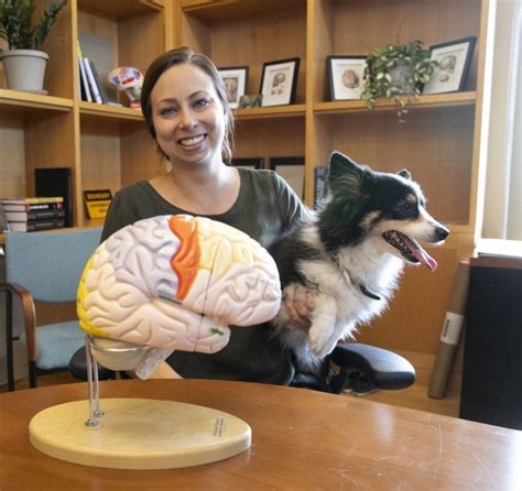 Online Surveys The Canine Brains Project - Harvard University