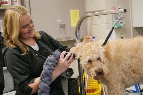 Online booking - Kirkwood Community College Pet Grooming