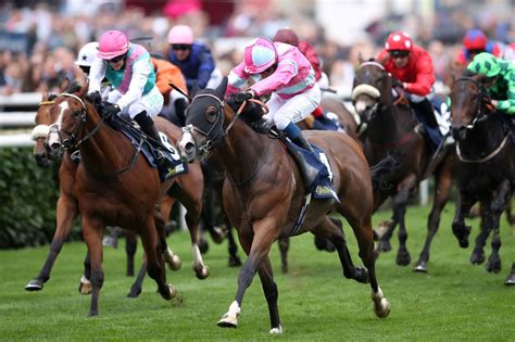 Online horse racing. 7. William Hill. With the experience that comes with being one of the UK’s oldest bookmakers, William Hill provides everything you will need from a horse racing betting site. Despite just ... 