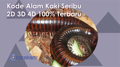 Online terpercaya resmi pg soft. Kode alam kaki seribu.