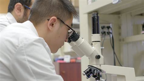 The Pharmacology & Toxicology PhD program at MCW emphasizes research in mechanistic studies of drug actions/signaling molecules and is home to the Drug Discovery Center, which focuses on the translation of new discoveries into therapies that can be used to improve human health.. 