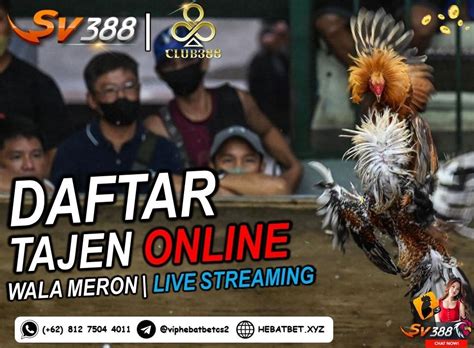 Online via pulsa min 2000. Cara mendaftar judi sabung ayam.