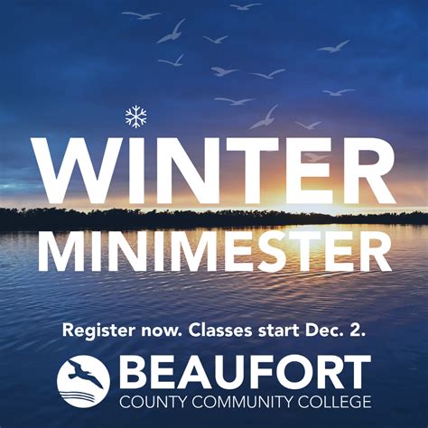 Online winter minimester courses