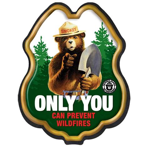 Only you can prevent wildfires. Smokey Bear Only You Can Prevent Wildfires Sign Smokey Bear Metal Signs Forest Nursery Decor for Boys Room Decor Cabin Wall Decor Lake DreamGarages 5 out of 5 stars. Arrives soon! Get it by Mar 14-18 if you order today. Mar 14-18 