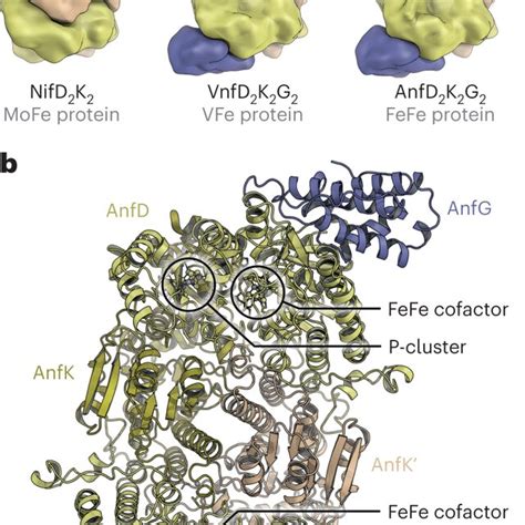 😈 Only_Fefe Onlyfans Leak (SEX)