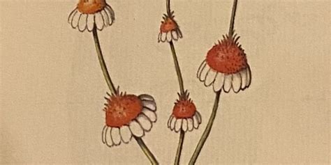 🍆 Onlybekks Onlyfans Leak XXX 22 Videos