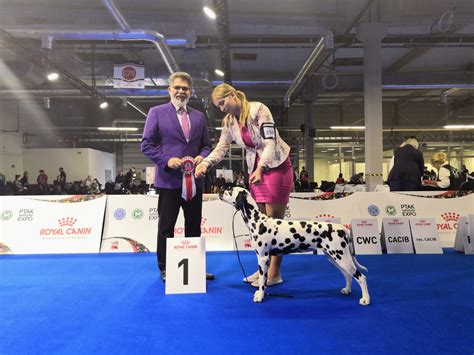 Onofrio dog show. Things To Know About Onofrio dog show. 