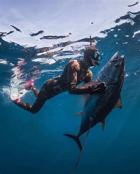 Onpoint Spearfishing (@onpoint_spearfishing) on Instagram • 270 ...