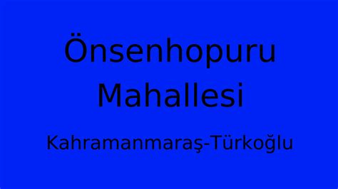 Onsenhopuru Halı ve Koltuk Yıkama