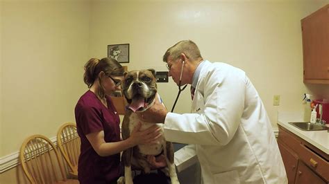 Onslow Animal Hospital in Jacksonville, North Carolina