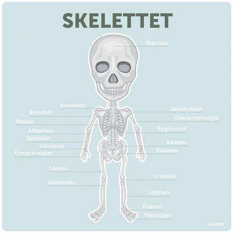 Ont i skelettet vid tryck