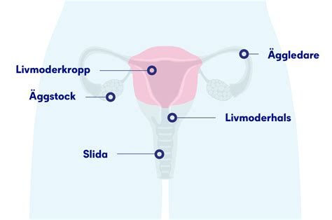 Ont vid samlag livmodertappen