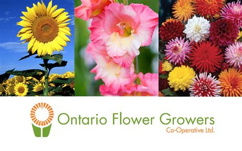 Ontario Flower Growers - Hlavní stránka